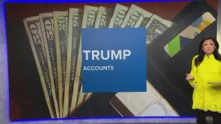 Banks contribute to Trump accounts