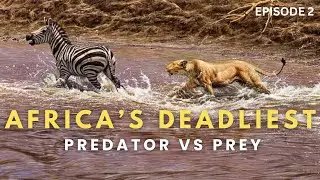 Africa&rsquo;s Deadliest: Predators vs Prey | Nat Geo Wild | Wildlife Documentary hindi