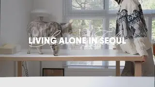 vlog. Seoul Life. Выходной день для фрилансера, который занимается просроченной домашней работой.