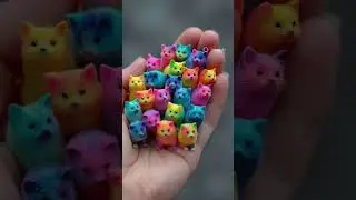 Colorful Cats 😍😍😺❤️