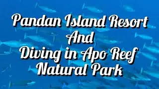 Pandan Island Trip and Diving in Apo Reef Natural Park Occidental Mindoro | Philippine Travel Vlog