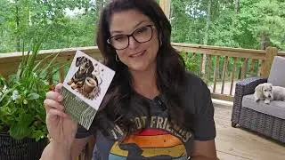 The Nosy Doxie Subscription Box Reveal for July