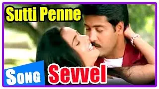 Sevvel Tamil movie | Songs | Sutti Penne song | Jai Akash and Misha attend friends wedding