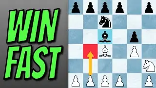 WIN with the EVAN'S GAMBIT