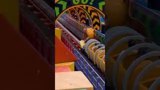 Toy Story Roller Coaster!