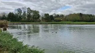 Netherlands Golf Club BurgGolf Purmerend in Amsterdam 네덜란드 골프
