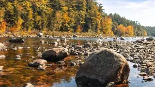 🍂🍁Autumn Sunset Magical: Tranquility and Beauty by the River's Melody