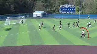 Salvador Forte Vaz De Noronha/ freshman and sophomore highlights/ email : Salvadorfortevaz@gmail.com