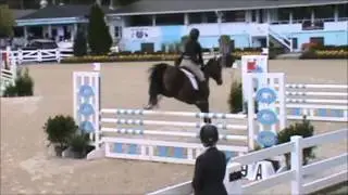 Blue Moon at Devon Fall Classic 2013  Pony Jumpers Saturday