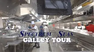 Royal caribbean cruise private kitchen tour. Spectrum of the seas galley tour.