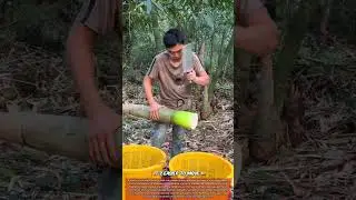Efficient Bamboo Cutting and Sectioning for Construction, Crafting, and Industrial Uses