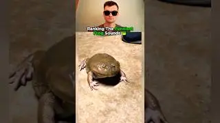 Top 5 Frog Sounds That Had Me Rolling!🤣