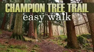 Explore the Lake District with this Easy Walk!
