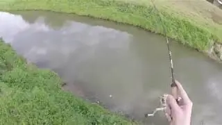 Ultralight Creek Bass Fishing | Houston, TX