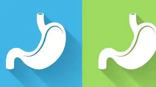 Gastro Clinic