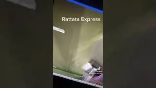 Rattata Express