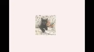 jack harlow - already best friends (sped up)
