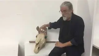 Mari Lwyd   Getting the 