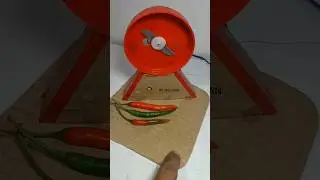 Chili cutting machine #youtubeshorts #chilimachine