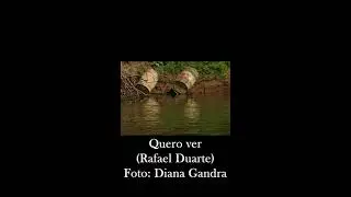 Quero ver (Rafael Duarte)