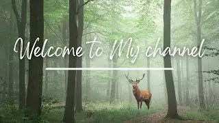 Explore, Learn, and Be Inspired: Welcome to Answers from the wild