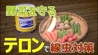 【テロンの特性と上手な使い方】