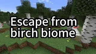 Minecraft, But I Must Escape From A Birch Biome