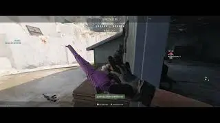 The Pink Pistol