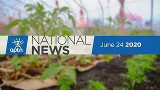 APTN National News June 24, 2020 &ndash; Charges dropped against Chief Adam, Indigenous travel