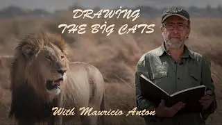 drawing the big cats promo 1