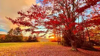 Stunning fall foliage colors in West Virginia | Part 2