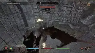 Oblivion Remastered armour xp farm
