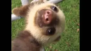 I've just found the funniest and cutest vine ever