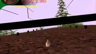 Fly Like A Bird 3!