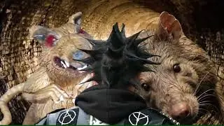 #sewer #punk