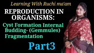 Multiple fission--Cyst formation Internal budding,-- gemmules, fragmentation