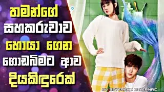 තමන්ගේ සහකරුවාව හොයා ගෙන ගොඩබිමට ආව දියකිඳුරෙක් | My Mermaid Boyfriend Sinhala Drama Recap