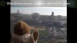 Zylie the Bear Joins Jersey Family Fun for new adventures