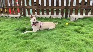 Jamie&rsquo;s daily life-4