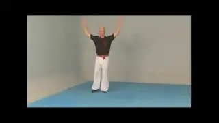 Shifu Christian Wulf  -Part of chinese Kung Fu Black Panther form set