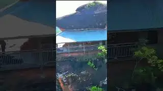Phu Thok, Bueng Kan Thailand 👍#phu #buengkan #thailand