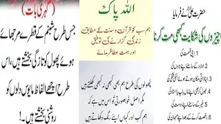 Motivational Islamic Quotes |Quotes About Life |Rumi Quotes Urdu |Sunhray Haroof.