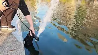 Flood your troubles with a Lanchees water pump (instead of flooding your basement!).