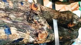 This is what the terrifying teak wood looks like, so it's sought after by collectors