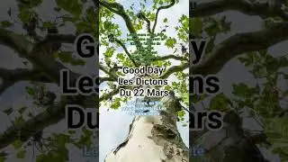 Good Day Les Dictons Du 22 Mars 🙂✅️ #Dictons #Dimanche #Sayings #Sunday #LesDictons #TheSayings