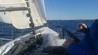 Melges 20 Downwind Flat Water