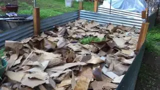Lasagna gardening video 2. Making a raised bed garden on the cheap.