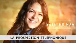 EXTRAIT : La prospection t&eacute;l&eacute;phonique au service de votre d&eacute;veloppement