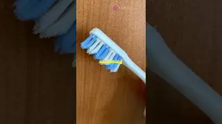 Household Hacks Unleashed! Transform Everyday Items! #facts #householdhack