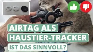 Is AirTag a useful pet tracker? | Finding cats & dogs | GPS tracker alternative